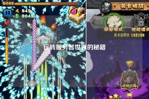 玩转服务器世界的秘籍