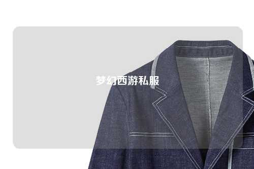 梦幻西游私服
